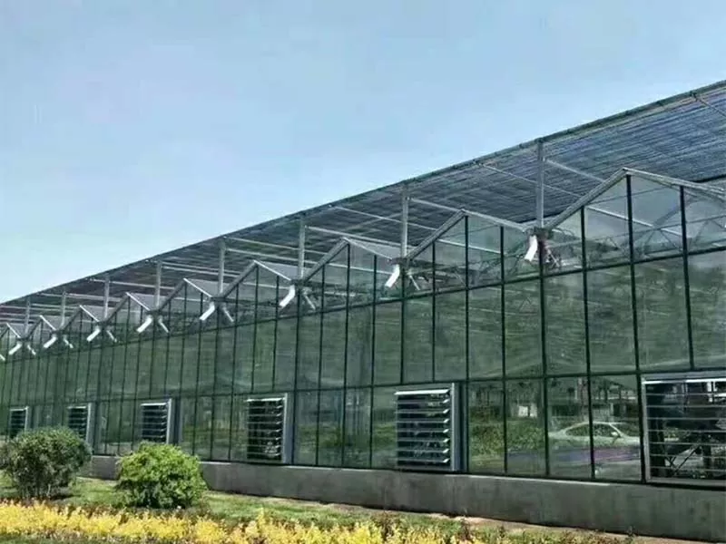 Què fa que Steel Vertical Farm sigui el futur de l'agricultura sostenible?