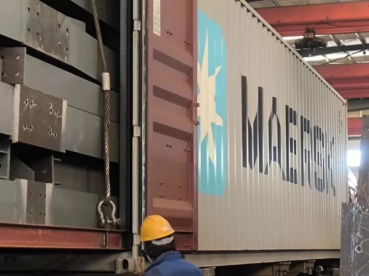 Multi-Storey Steel Structure Warehouse