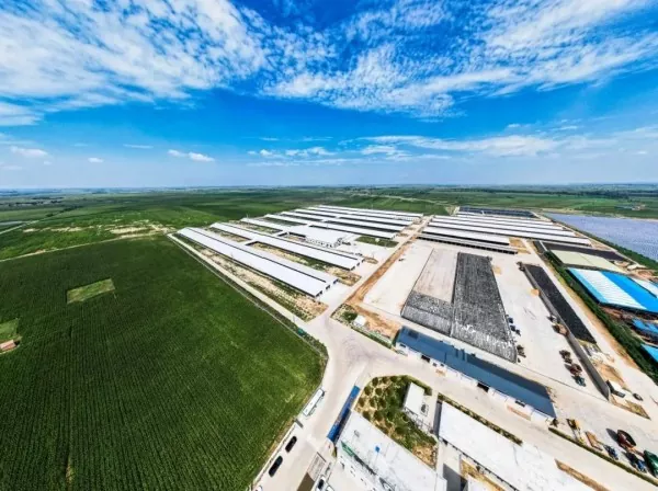 Planta de processament d'aliments d'estructura d'acer